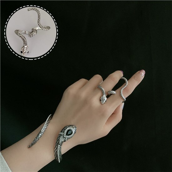 Gothic Punk Snake Alloy Bracelet And Ring Set