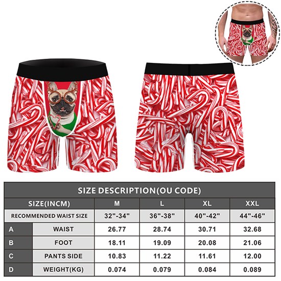 Christmas French Bulldog Brief Underwear Funny Panties 