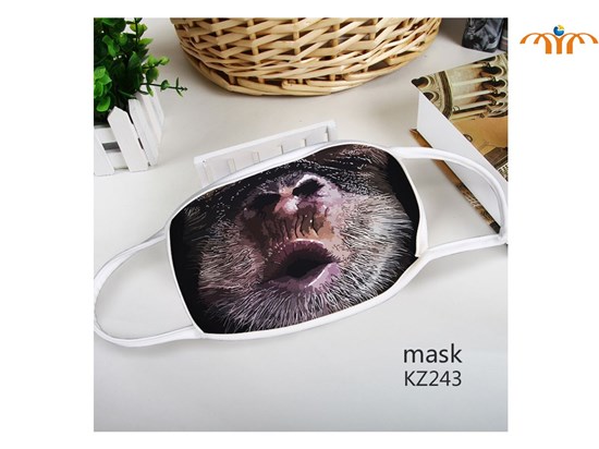 Animals Mouth Anti-Dust Mask