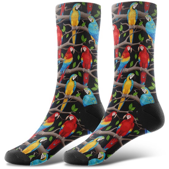 Novelty Parrot Socks Funny Birds Socks