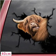 Highland cow Car Decals Realistic Car Sticker