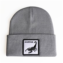 Scorpion Grey Knit Hat