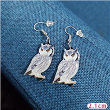 Funny Owl Acrylic Earrings