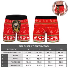 Christmas Sloth Brief Underwear Funny Panties 