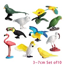 Flamingo Hummingbird Figure Toy Birds Set