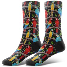 Novelty Parrot Socks Funny Birds Socks