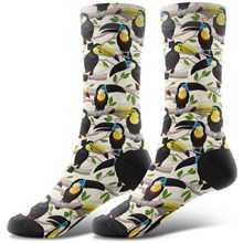 Novelty Macaw Socks Funny Parrot Birds Socks
